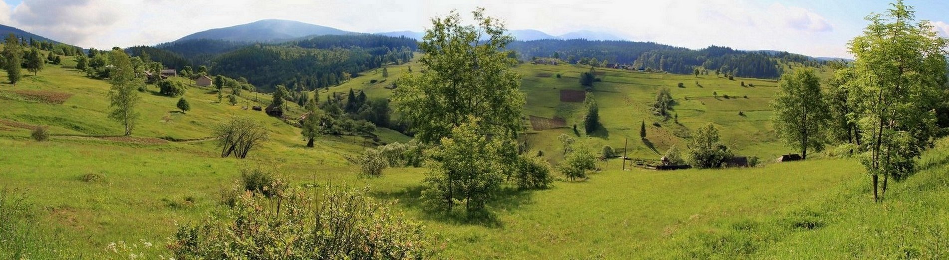 1902x522, 298 Kb / горы, деревья, луга, карпаты, панорама