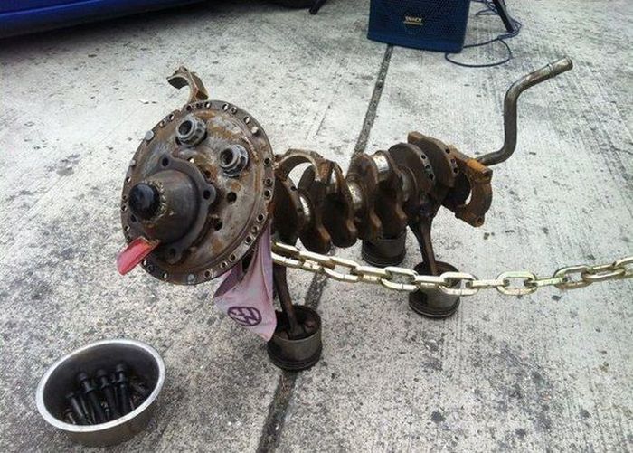 700x501, 94 Kb / собака, железяка, цепь