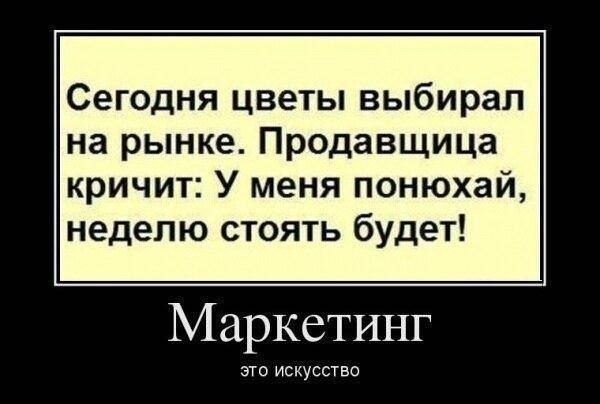 600x404, 35 Kb / цветы, стояк