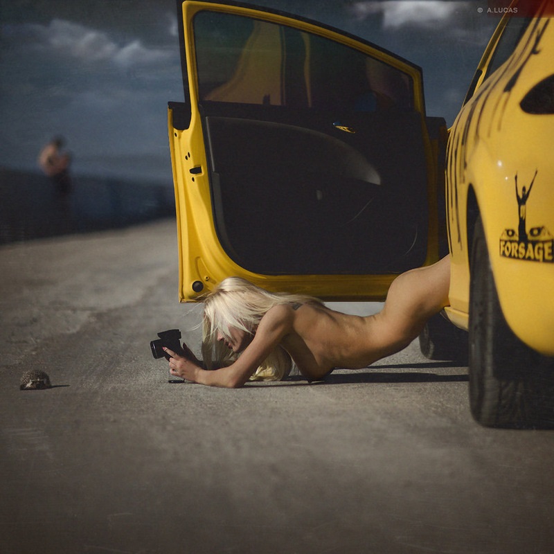 800x800, 135 Kb / блондинка, фотоаппарат, ёжик, автомобиль