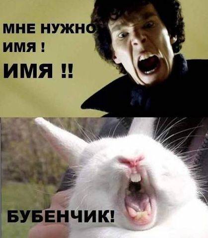 419x480, 25 Kb / кролик, белый, мужик, кудрявый, орёт, имя, бубенчик