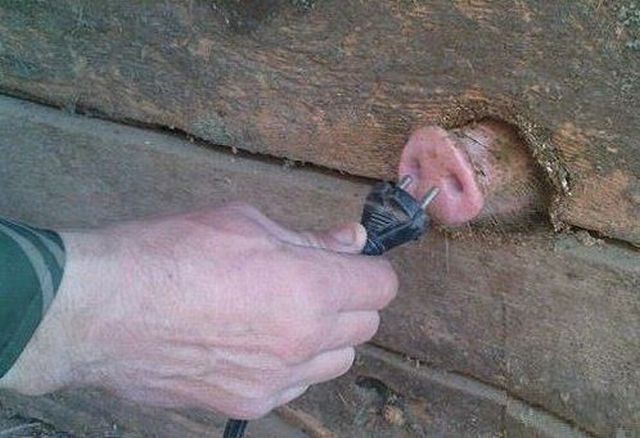 640x438, 49 Kb / пятак, розетка, вилка