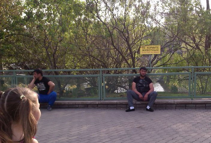 704x479, 98 Kb / зоопарк, животные, не кормить, табличка