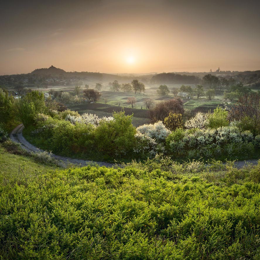 888x888, 291 Kb / закат, hdr, деревья, солнце, небо, дорога