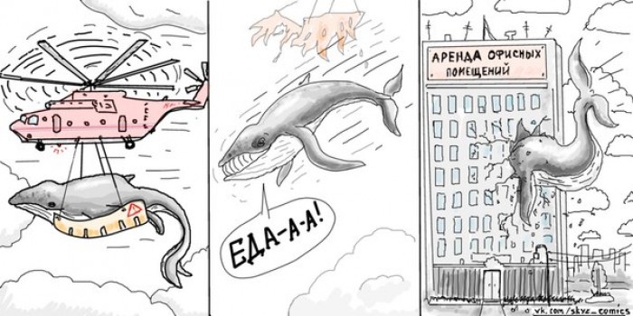 700x350, 80 Kb / комикс, офис, кит, вертолет, еда