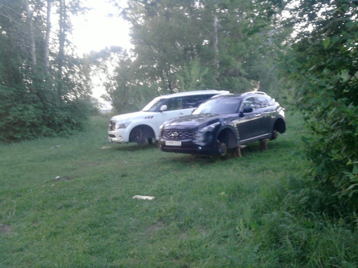 720x540, 156 Kb / инфинити, лужайка, кирпичи, лес