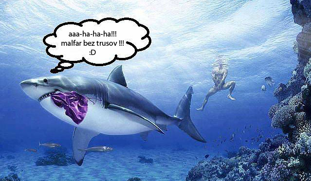 639x372, 93 Kb / акула, море, трусы, дно, рыбки, кораллы, голый