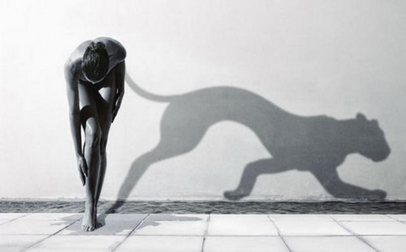 800x498, 26 Kb / тень, ч/б, пантера