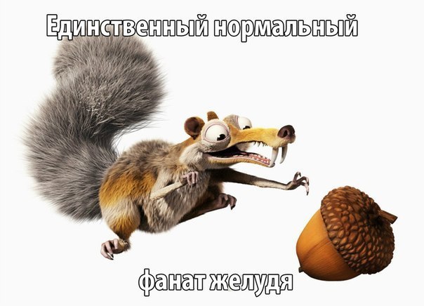 604x436, 47 Kb / Жёлудь, орех, ледниковый период, крысобел, фанат