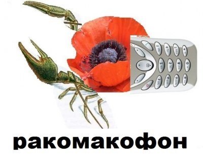 400x311, 25 Kb / ракомакофон