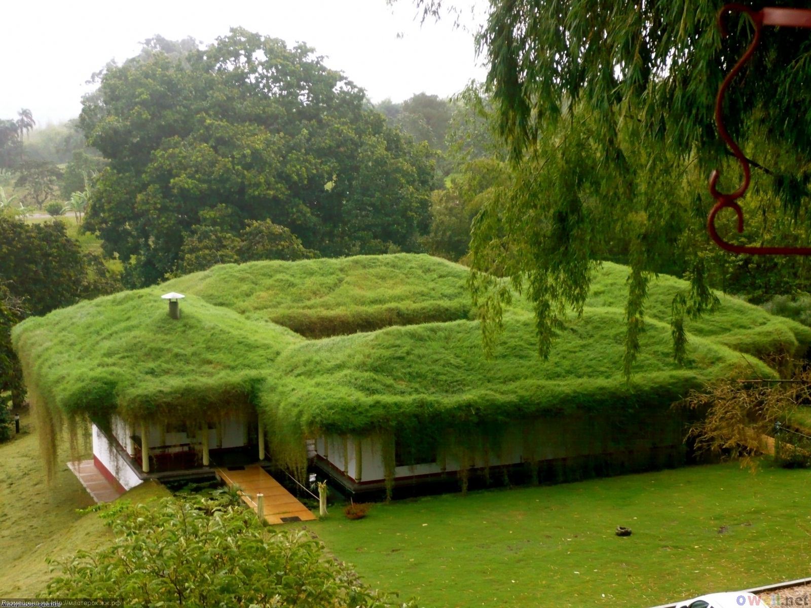 1600x1200, 299 Kb / дом, крыша, трава