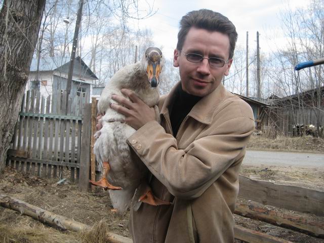 640x480, 65 Kb / Mr. DIM, гусь