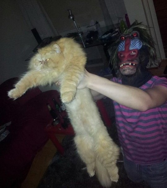 539x604, 48 Kb / король лев, симба, рафики, косплей