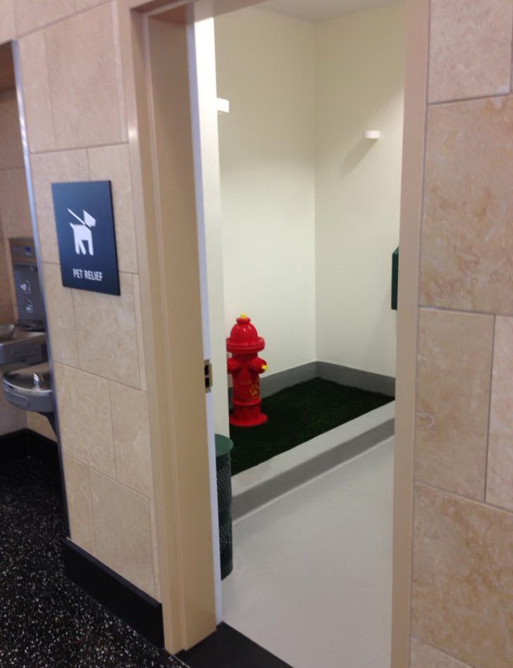 728x949, 126 Kb / туалет, гидрант, собака