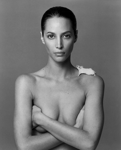 388x480, 30 Kb / мышь, ч/б, брюнетка, Christy Turlington