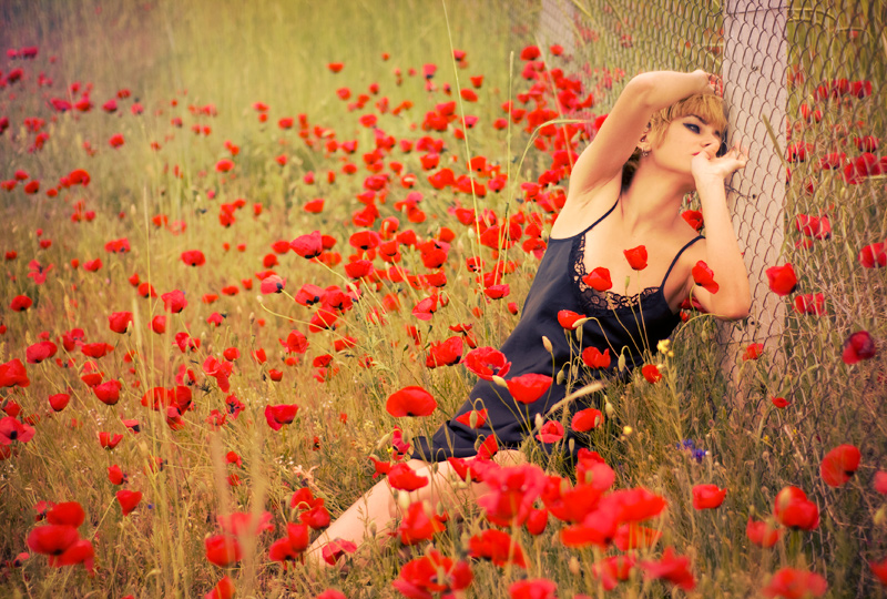 800x540, 299 Kb / маки, забор, сетка, ночнушка