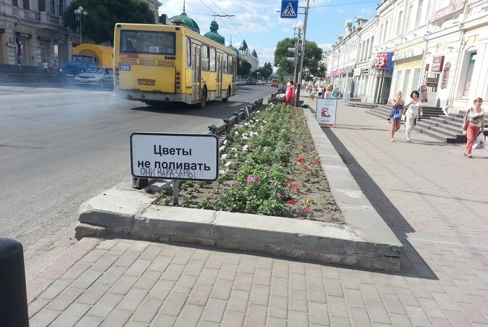 700x469, 102 Kb / клумба, цветы, табличка