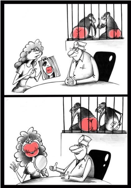 423x604, 54 Kb / хирург, пластика, жопа, макака