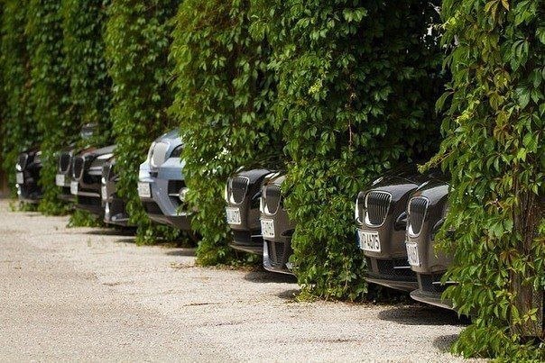 604x403, 111 Kb / бмв, bmw, засада, кусты, зелень