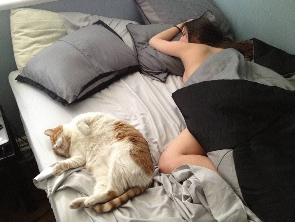 950x713, 111 Kb / постель, одеяло, подушка, ноутбук