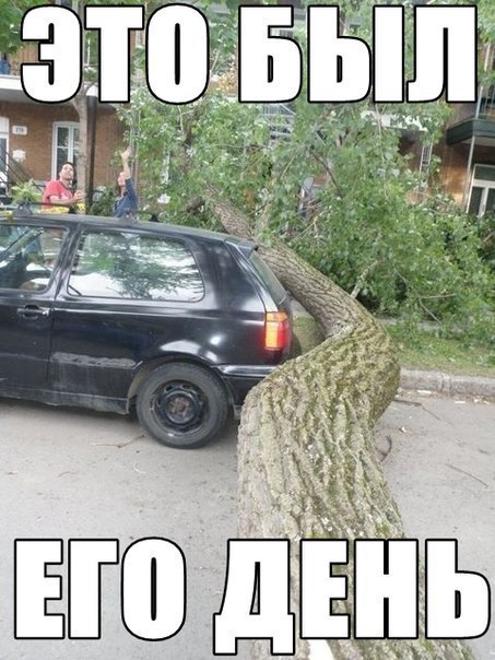 453x604, 79 Kb / дерево, автомобиль, везение