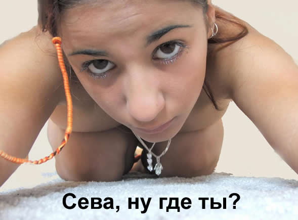 589x435, 23 Kb / сева