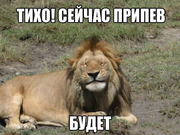 604x452, 49 Kb / лев, улыбка, песенка, припев