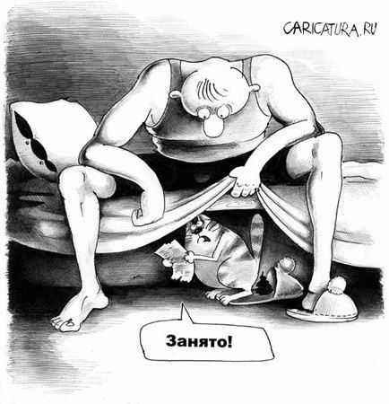 434x450, 47 Kb / кот, мужик, занято