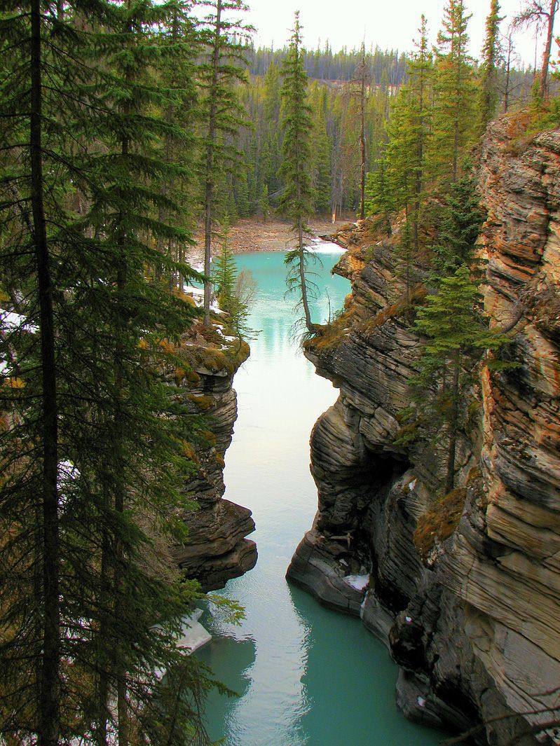 799x1065, 243 Kb / скалы, лес, деревья, река