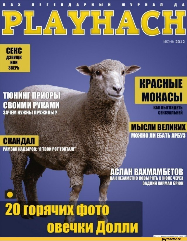 640x824, 128 Kb / playhach, обложка