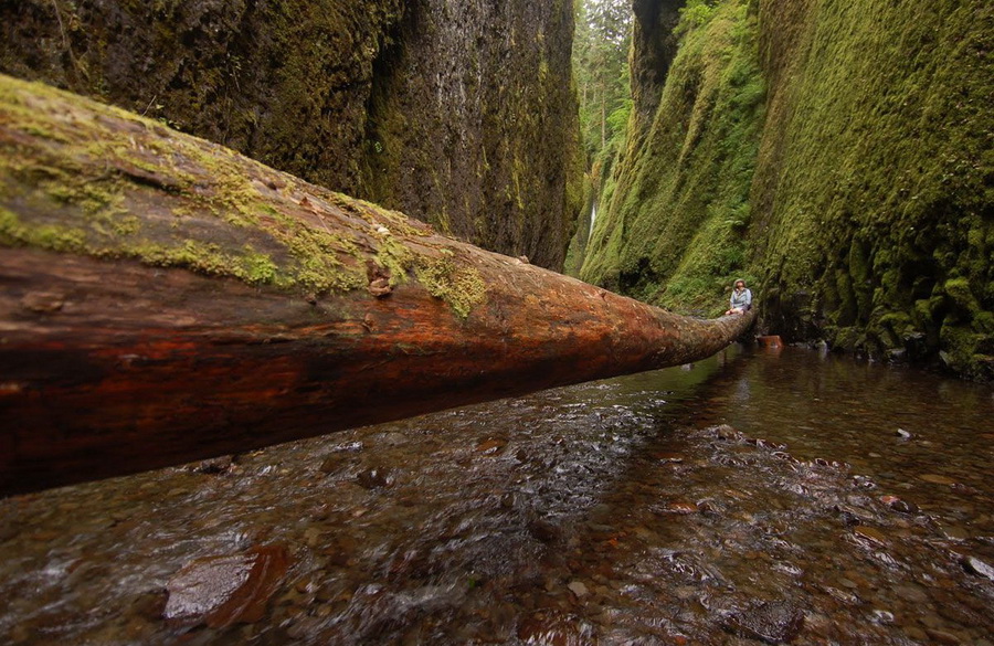 900x585, 265 Kb / бревно, река, вода, мост