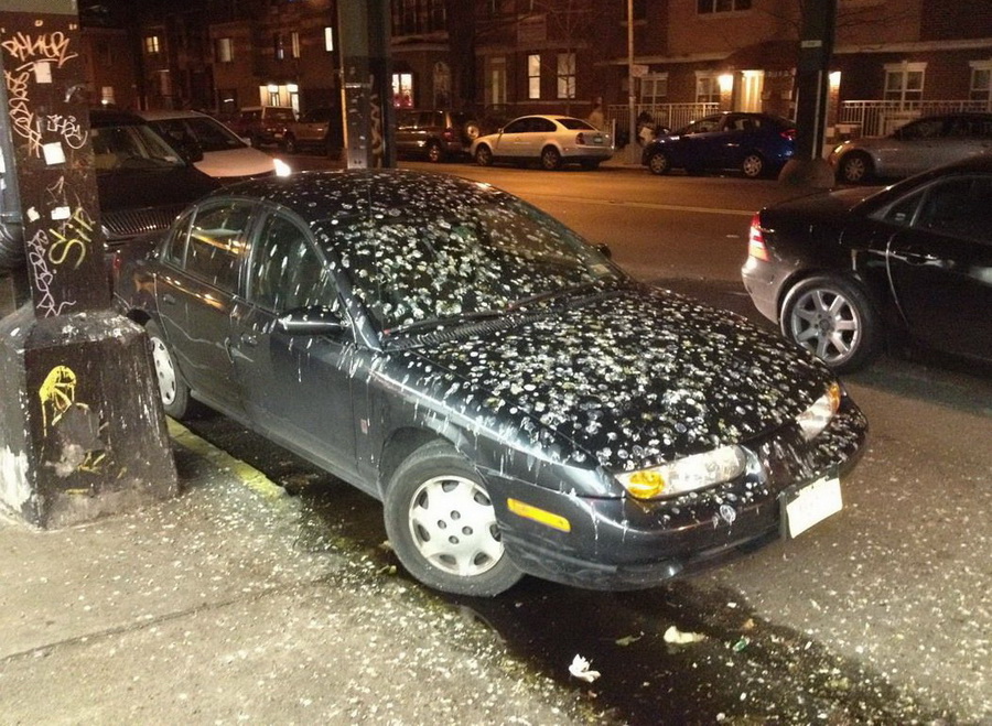 900x659, 272 Kb / авто, говно, птицы, помет