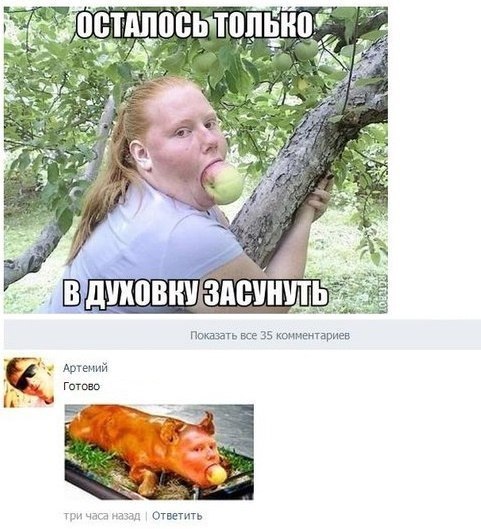 481x529, 65 Kb / духовка, свинья, яблоко, эксперимент