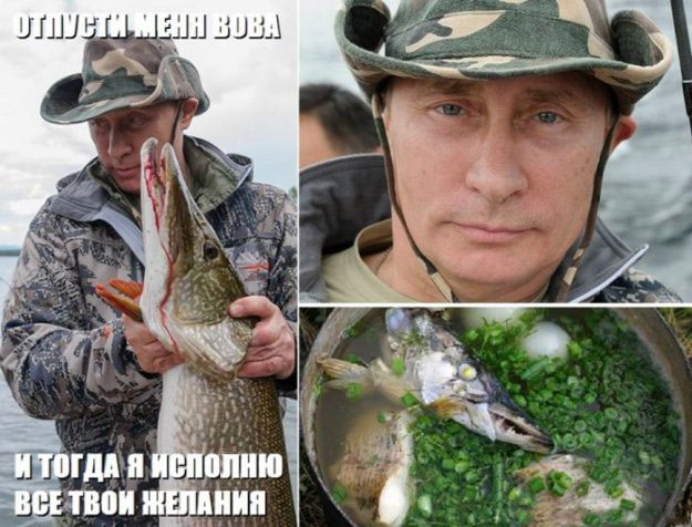 625x476, 84 Kb / путин, вова, щука
