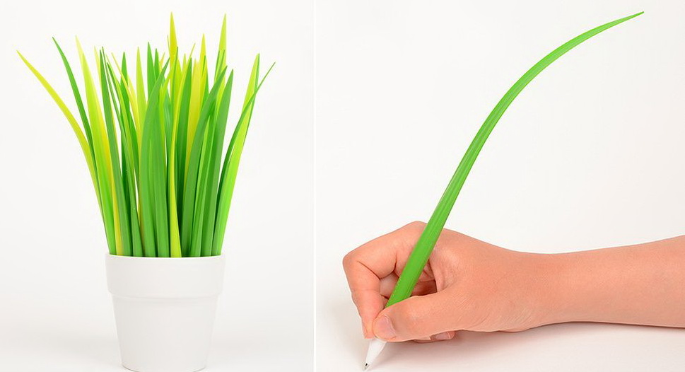 969x526, 85 Kb / ручка, трава