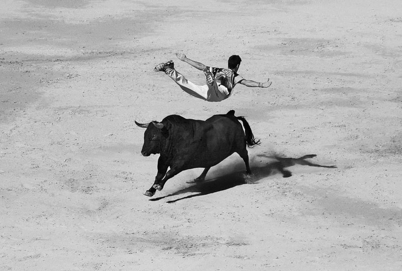 800x540, 92 Kb / коррида, бык, тореадор, прыжок, ч/б