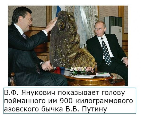 600x488, 87 Kb / янукович, путин, рыбалка, бычок