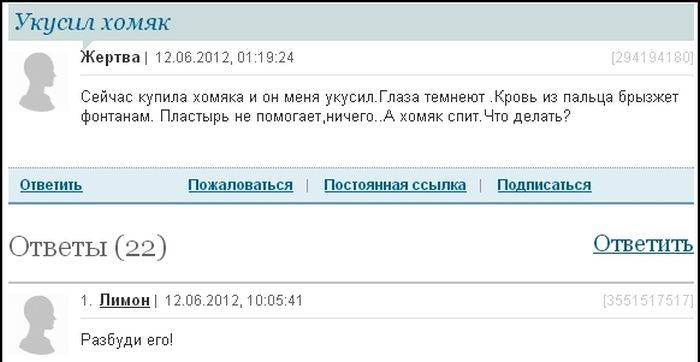 700x362, 33 Kb / хомяк, сон, укус