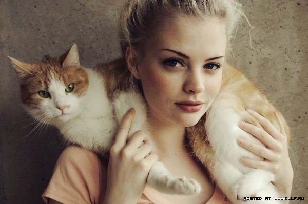 600x398, 50 Kb / девушка, красивая, котэ