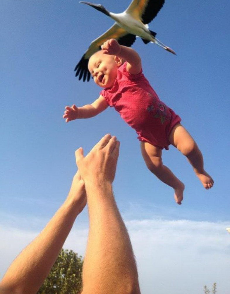 786x1004, 165 Kb / ребенок, фото, аист