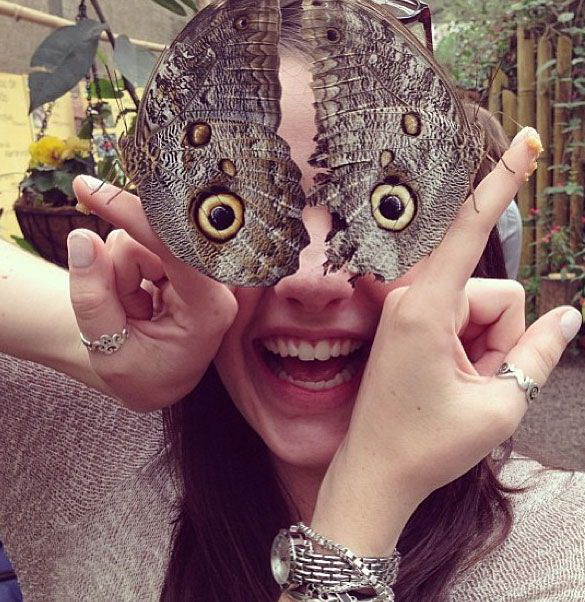 585x602, 138 Kb / бабочка, руки, глаза