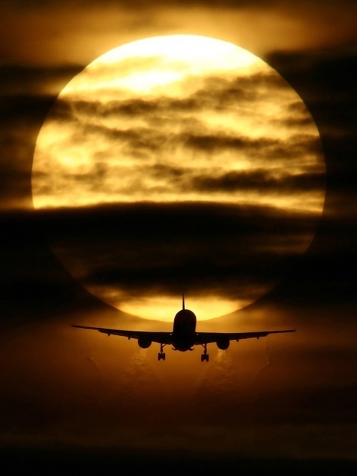 500x666, 56 Kb / закат, солнце, самолёт