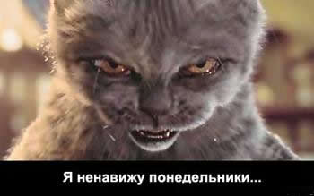 350x219, 9 Kb / кот, понедельник, ненависть