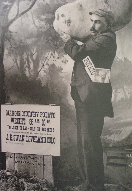 443x640, 76 Kb / картошка