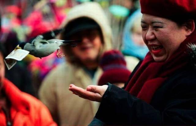 640x412, 24 Kb / птица, деньги, вор