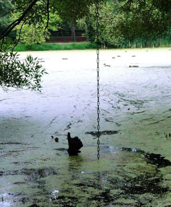 544x659, 130 Kb / рука, цепь, пруд, терминатор