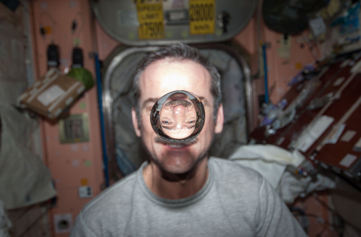 1247x819, 104 Kb / астронавт, вода, капля, невесомость, мкс, Chris Hadfield