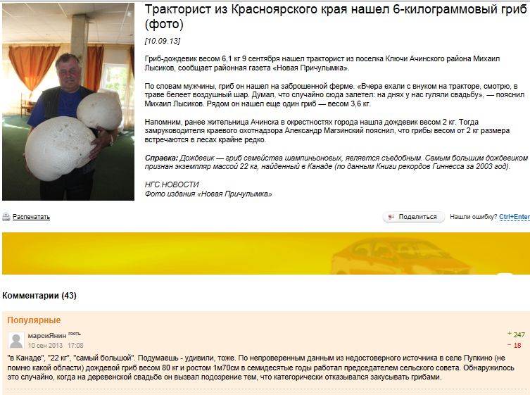 753x561, 97 Kb / гриб, дождевик, председатель