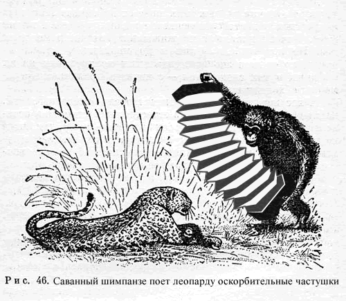 500x435, 69 Kb / фотожаба, примат, леопард, баян