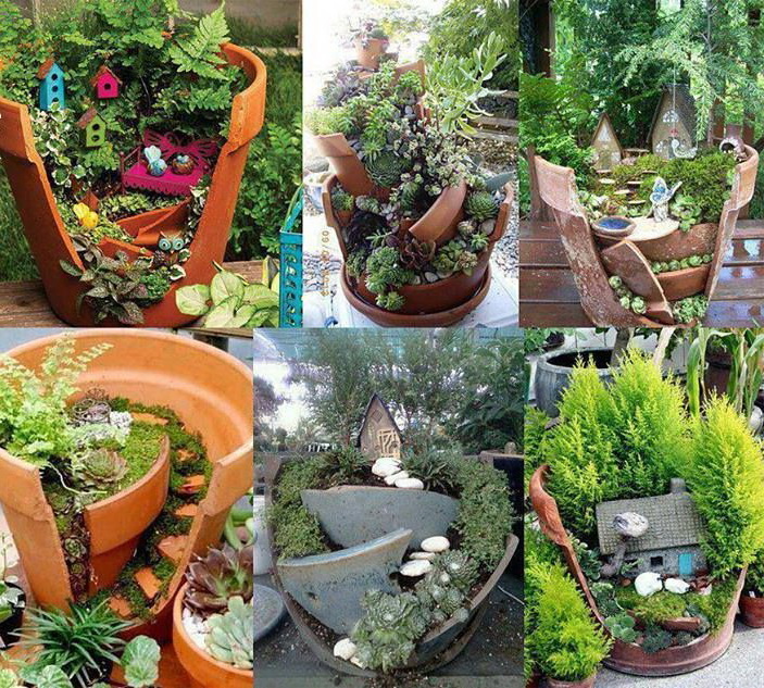 703x633, 264 Kb / горшок, цветы, ландшафт